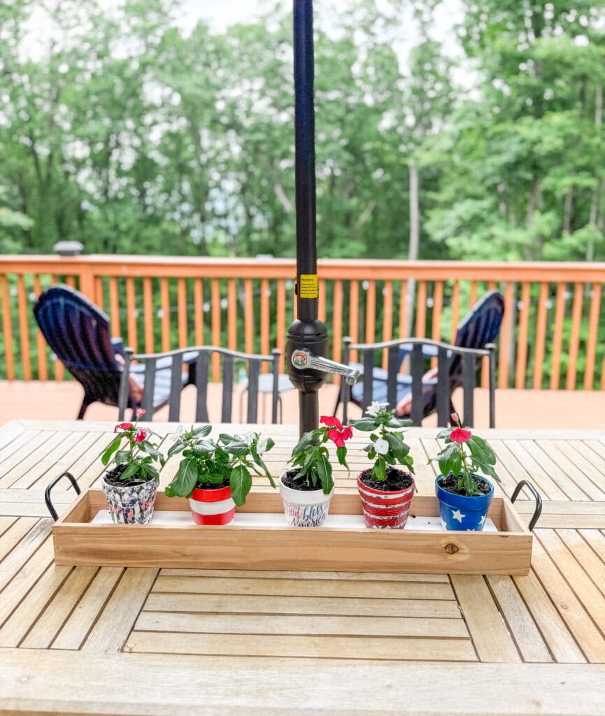 flower pots in tray for 4th of july