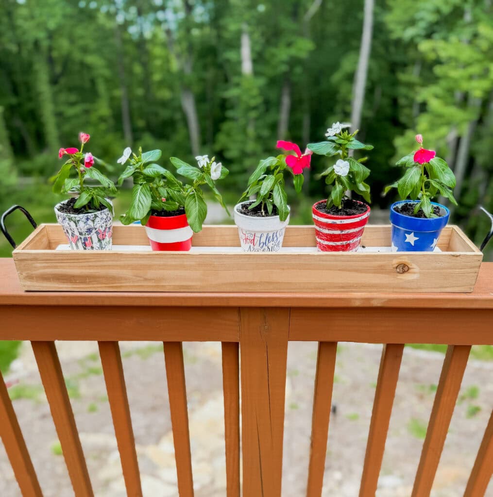 flower pots in tray on deck