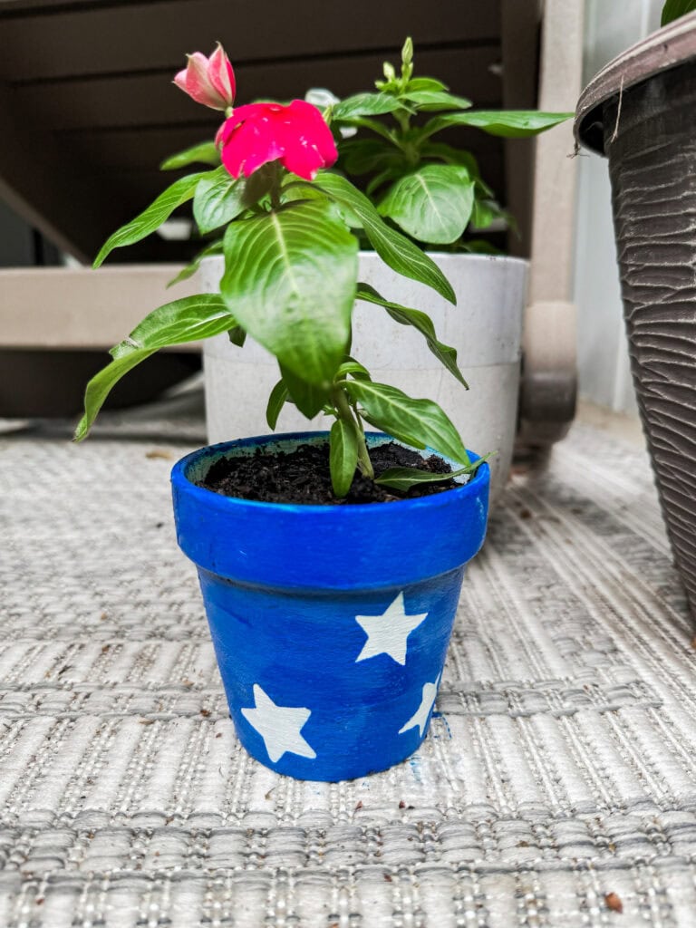 star flower pot for 4th of July