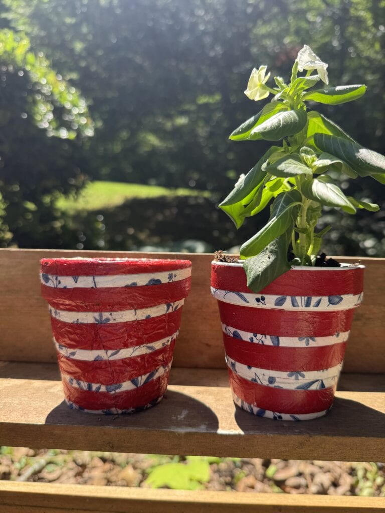 striped flower pot for 4th of july