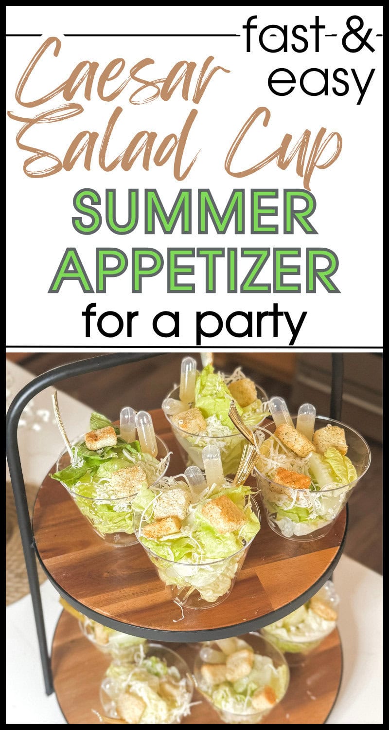 Cheeseball Salad Cups for Summer Parties, easy and quick appetizer ideas, served in individual cups with fresh lettuce, croutons, and cheese, perfect for summer gatherings and entertaining.