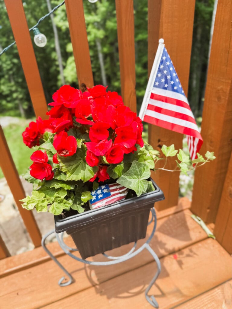 potted red flowers with american flag for patriotic decor