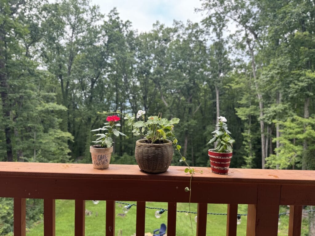 flowered pots for patriotic decorations