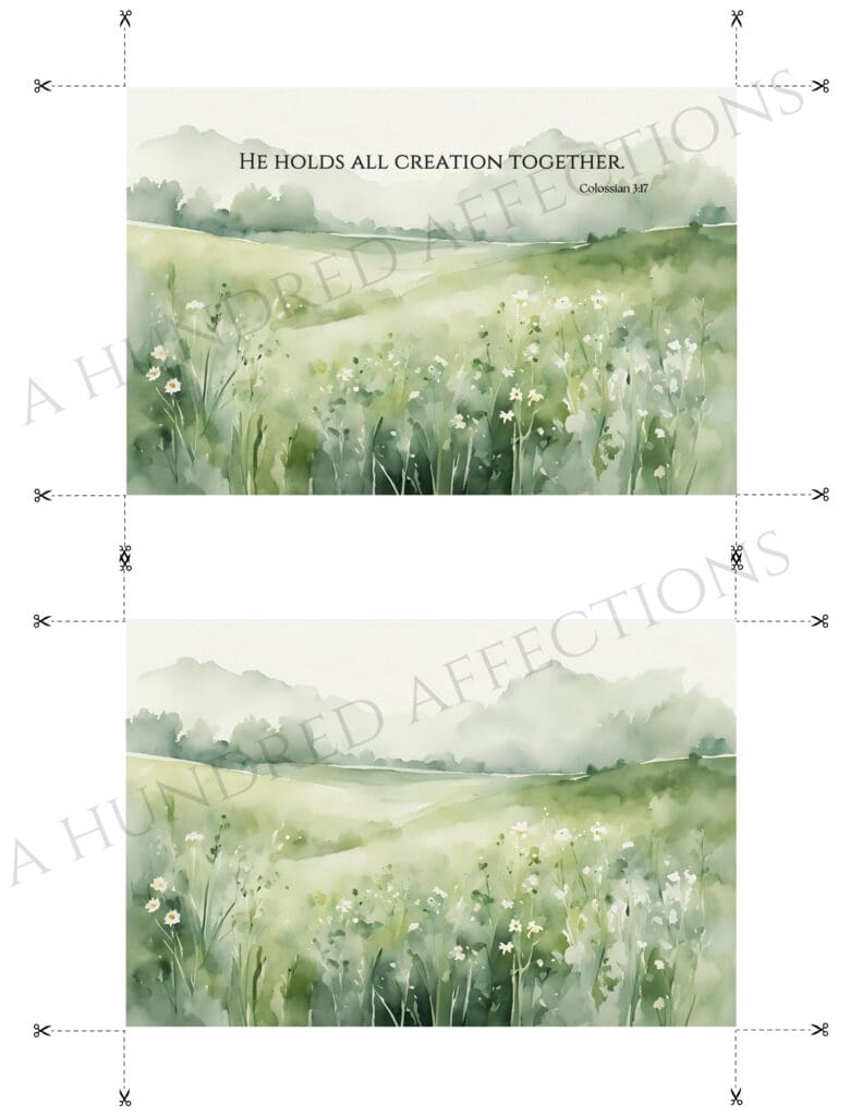 Heavenly watercolor illustration of blooming wildflowers with inspirational Bible verse from Matthew 6:30, emphasizing God's care and creation, perfect for faith-based home decor and spiritual gifts.