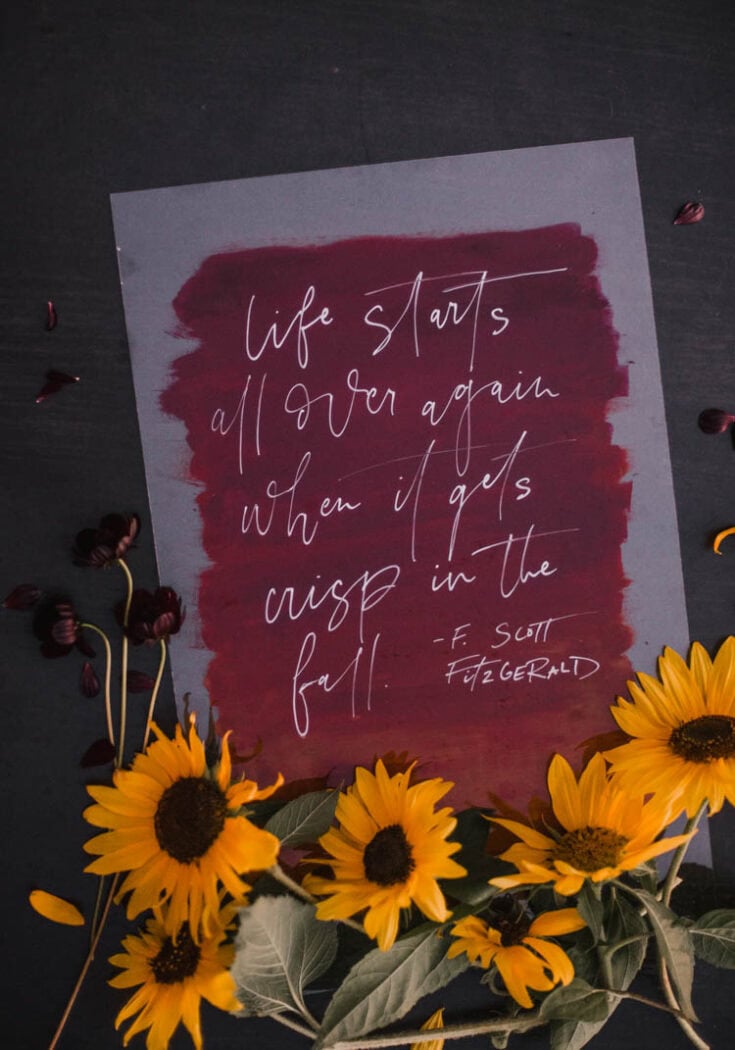 Life starts all over again when it gets crisp in the fall. - F. Scott Fitzgerald.