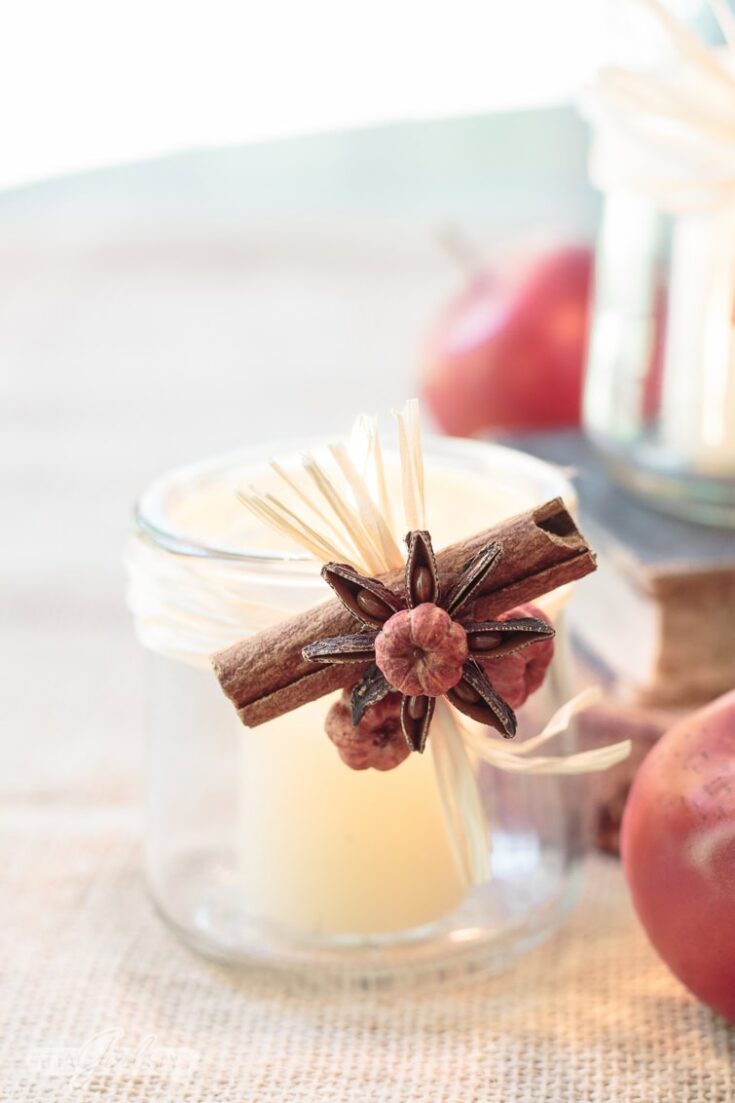 Sweet cinnamon and star anise in a cozy jar candle, perfect for creating a warm, inviting atmosphere with natural scents. Ideal for home decor and romantic gifts from A Hundred Affections.