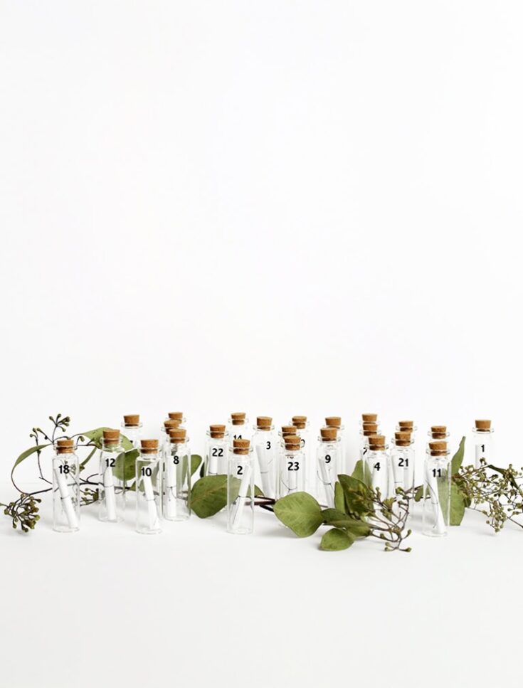 Small glass test tubes with cork stoppers arranged in a row, some filled with clear liquid, accompanied by green leaves and sprigs, minimalist natural aesthetic, botanical, alternative medicine, aromatherapy, herbal infusions.