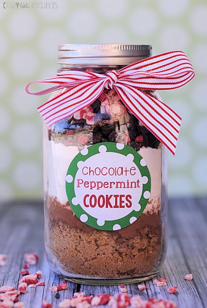 Rich chocolate peppermint cookie jar with festive red and white ribbon, topped with colorful sprinkles, perfect for holiday gifting or as a sweet treat.