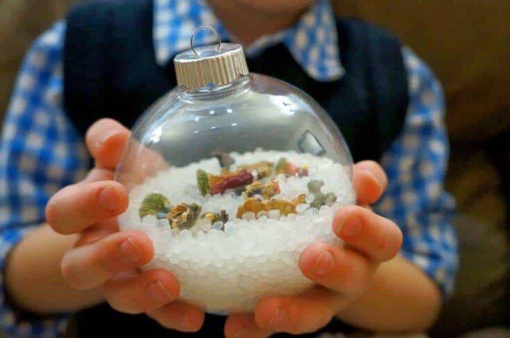Colorful fairy garden terrarium with miniature plants and decorative stones in a clear glass ornament.