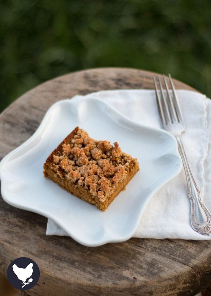 Rich crumbly apple cinnamon oatmeal crumb cake dessert on a unique white serving plate with a fork on a rustic wooden table outdoors.