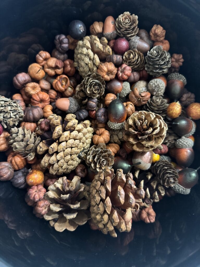 Colorful collection of pinecones, acorns, and decorative berries in a black container for fall or winter seasonal decor.