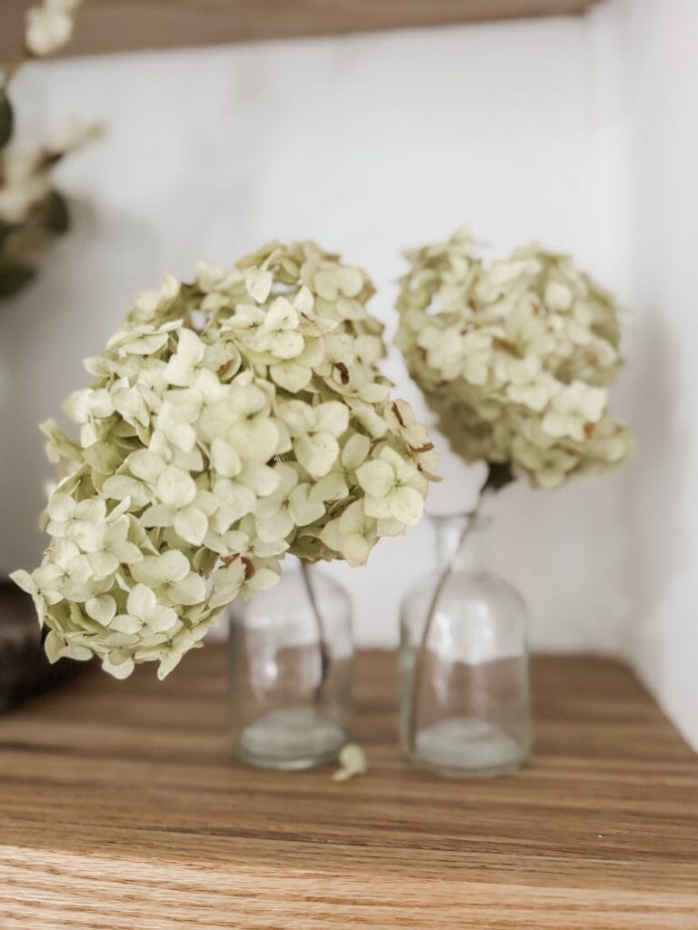 dried hydrangea in bud vases