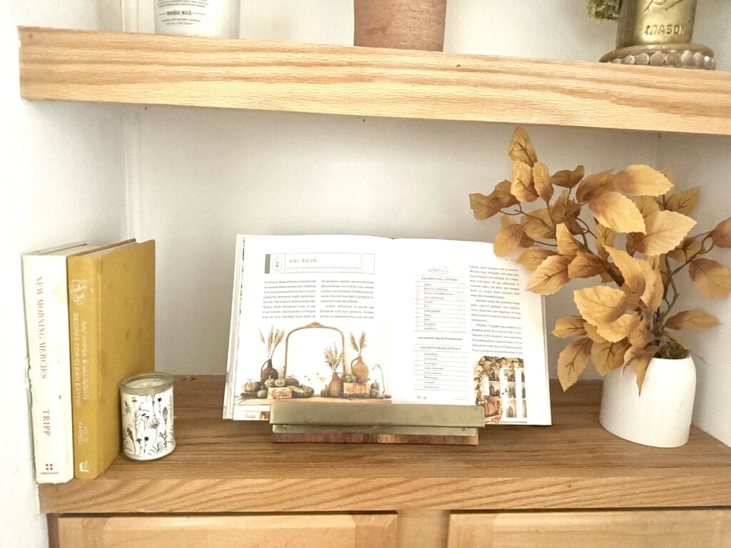 Cozy bookshelf decor with books and a dried leaf arrangement, perfect for stylish home interior and aesthetic design.
