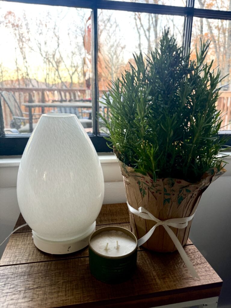 Diffuser, potted plant, and candle on wooden surface by window with trees, cozy indoor decor, relaxing ambiance, nature-inspired, home decor, aromatherapy essentials, mindfulness space.