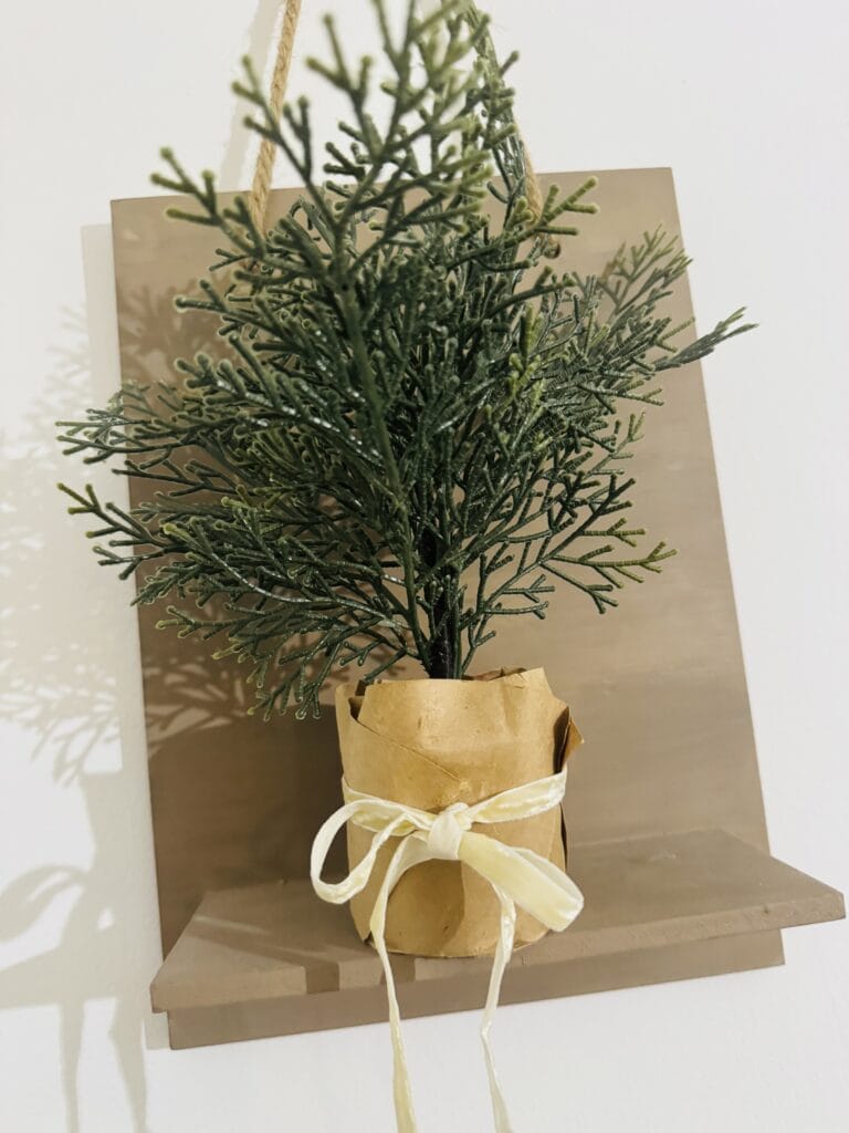Miniature potted eucalyptus plant with brown paper wrapping and a cream ribbon, perfect for holiday decor and gift-giving, showcased against a neutral background.