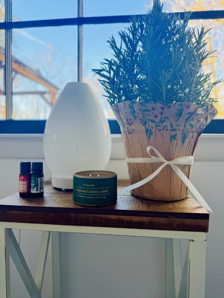 Brightly lit windowsill with potted rosemary plant wrapped in decorative paper, a white diffuser, a scented candle, and small essential oil bottles; cozy, calming home decor.