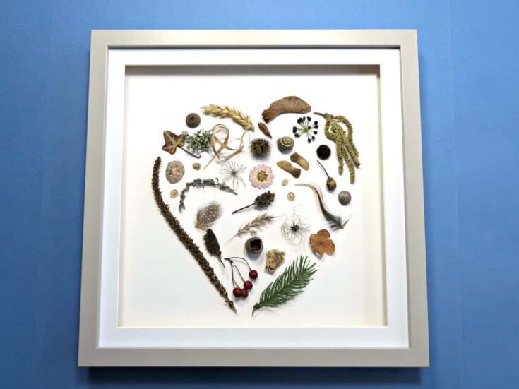 A framed artwork featuring various natural elements arranged in the shape of a heart, including leaves, flowers, seeds, and shells, displayed against a blue background.
