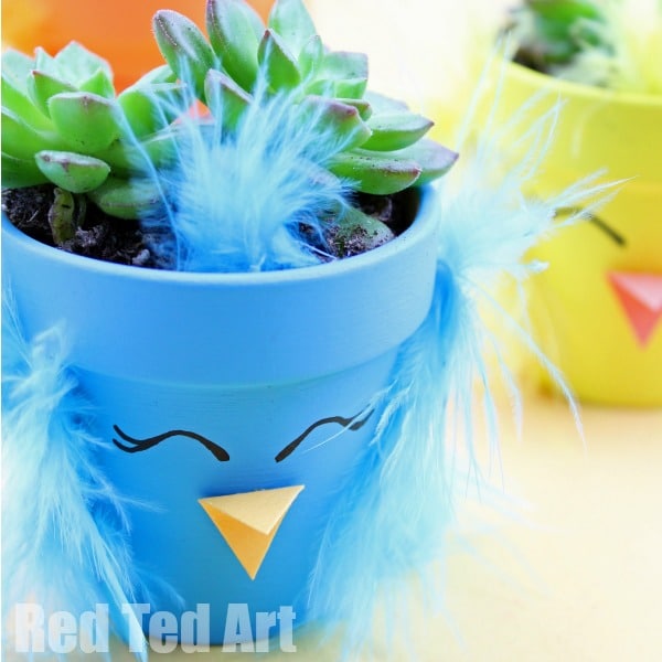 Vibrant succulent in a whimsical owl pot with feathers, ideal for gardening, indoor plants, and decorative home accents.