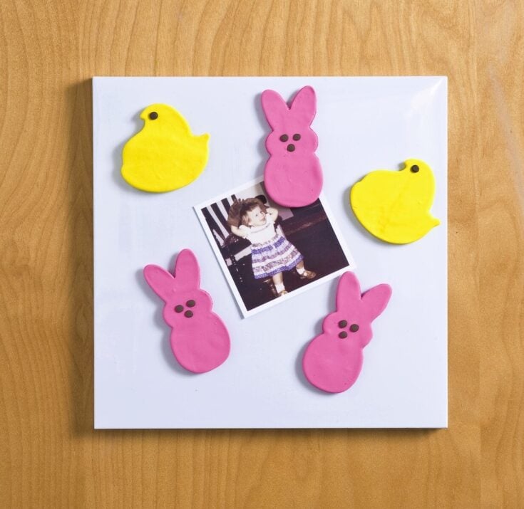 Sweet pink bunny and yellow chick sugar cookies surrounding a childhood photo, perfect for Easter and spring themed decor and treats.