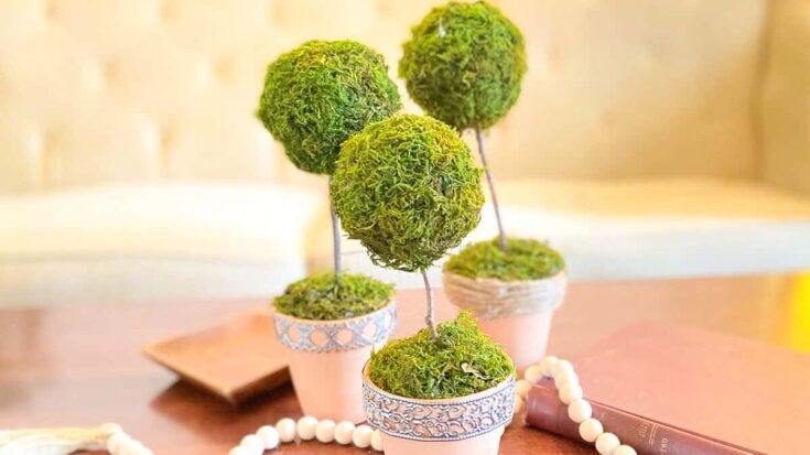 Decorative moss topiary trees in elegant ceramic pots, perfect for stylish home decor and adding a touch of greenery to any living space. Unique and charming indoor gardening accents.