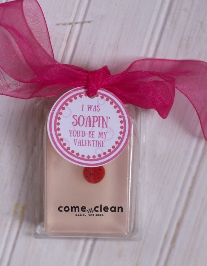 Valentine soap with pink ribbon and cute ladybug design, perfect for Valentine's Day gifts and handmade hug gifts for loved ones.