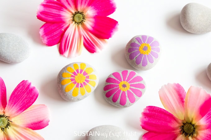 Colorful painted flower rocks with pink, yellow, and purple daisy designs on smooth gray stones, perfect for garden decor or DIY projects.