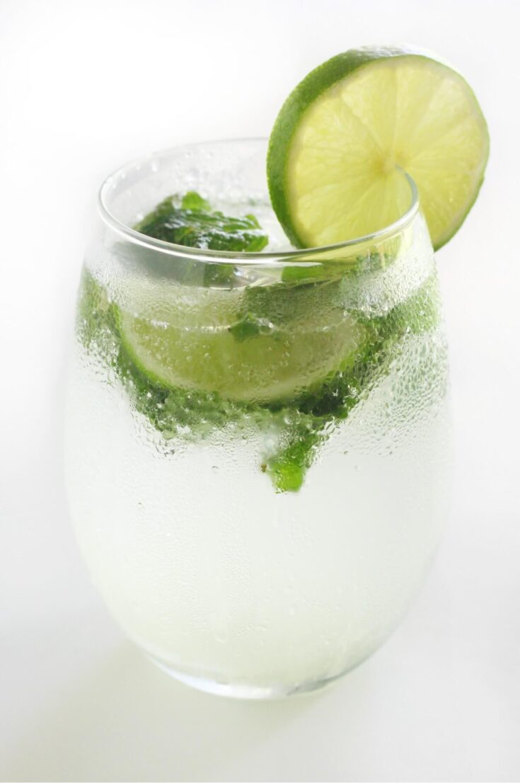 A glass of chilled sparkling water infused with fresh lime slices and mint leaves, condensation on the glass, making a perfect cold beverage for hot days.