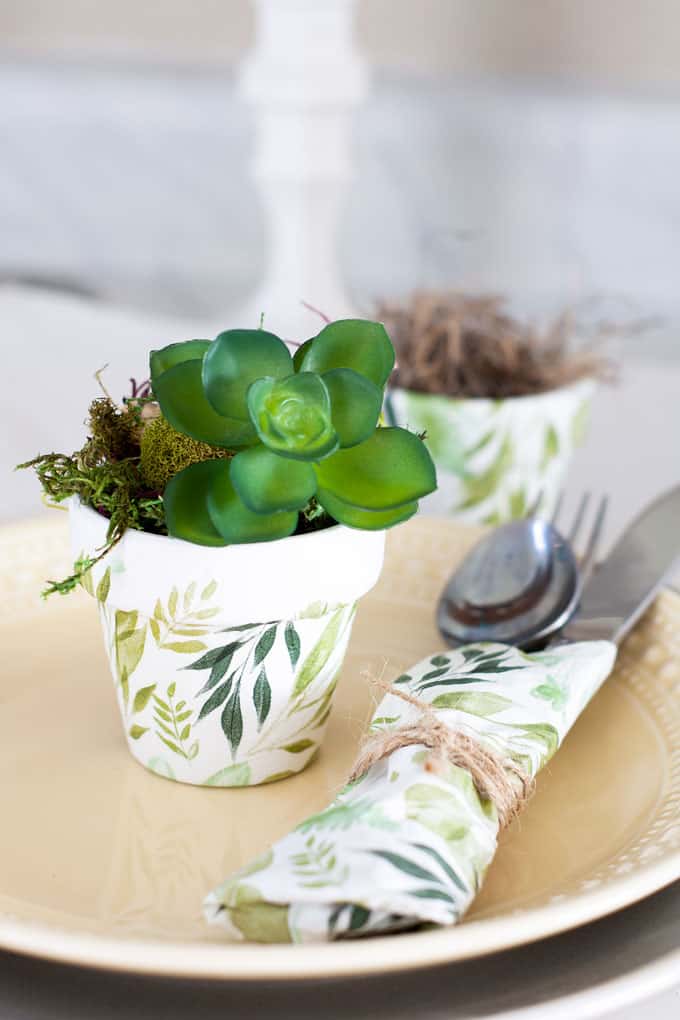 A charming potted succulent centerpiece with greenery leaf patterns, perfect for home decor or table accents to add a touch of nature and elegance.