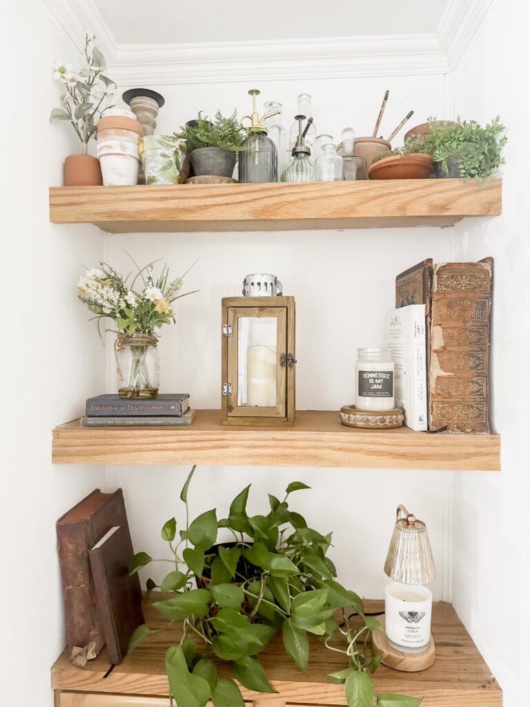 Aesthetic indoor plant arrangement on wooden shelves with decorative jars, books, and candles, creating a warm and inviting home decor scene.