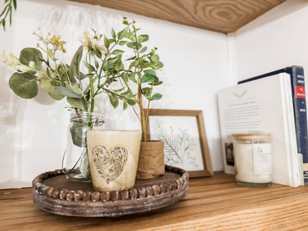 Aesthetic indoor shelf display with potted plants, framed artwork, and candles, creating a cozy and natural home decor ambiance.
