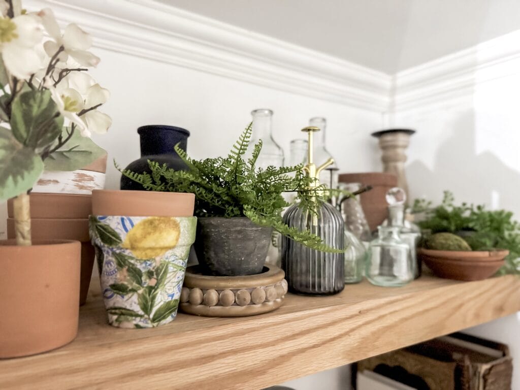 Beautiful indoor plant and decorative glassware arrangement on a wooden shelf, showcasing home decor and greenery for a cozy, stylish interior.