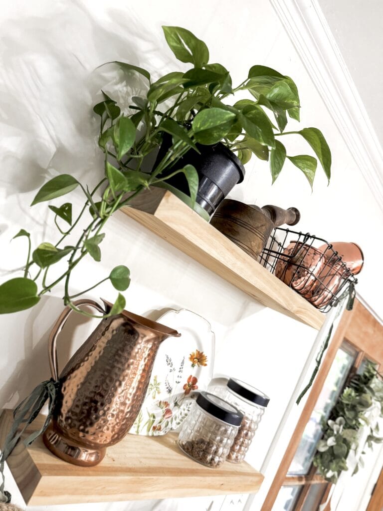 Bright home decor featuring a lush green plant in a hammered copper vase, complemented by decorative jars and a wooden shelf, creating a cozy and stylish interior setting.