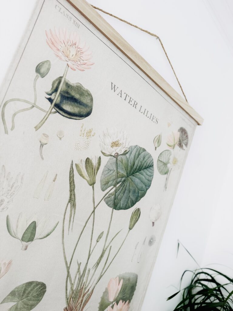 A beautiful watercolor print of water lilies featuring detailed illustrations of lily pads, flowers, and aquatic plants, perfect for botanical decor and nature-inspired interior design.