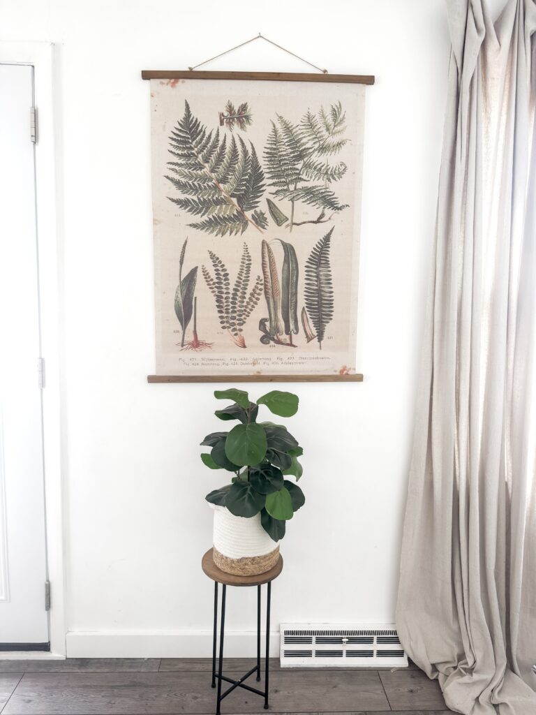 A beautiful botanical wall hanging featuring various fern illustrations, complemented by a lush green houseplant in a white pot on a wooden stand, creating a calming natural decor.