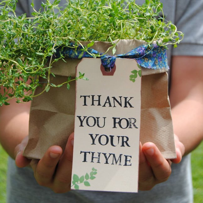 Image for Thank You Herb Gifts