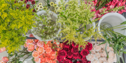 Beautiful floral display with colorful roses, daisies, and greenery in white vases, showcasing vibrant spring flowers and fresh garden blooms.