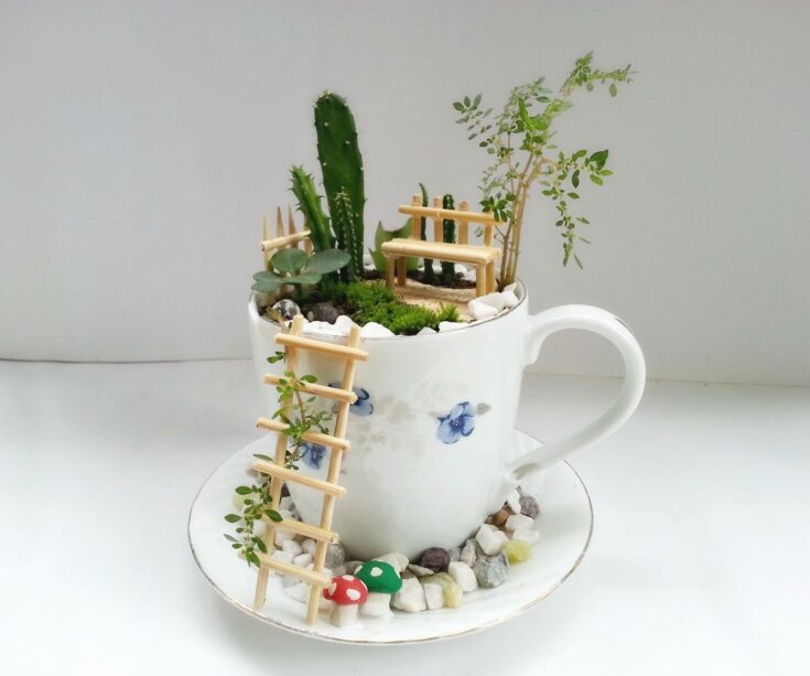 Image for DIY Cup Garden