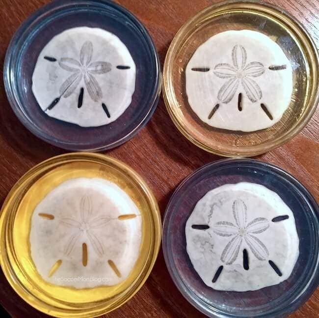 Beautiful handmade soap bars with floral patterns, displayed in colorful glass jars for natural skincare and artisanal bath products.