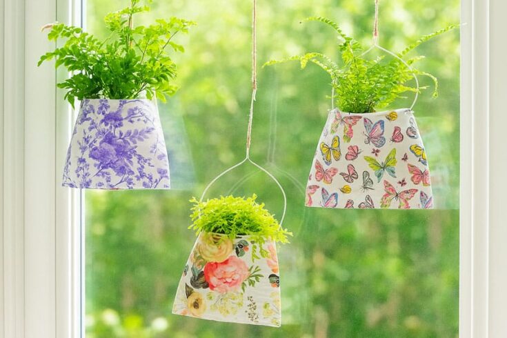 Bright hanging planters with lush green plants and colorful butterfly patterns, ideal for indoor or outdoor garden decor, bringing freshness and vibrancy to your space.