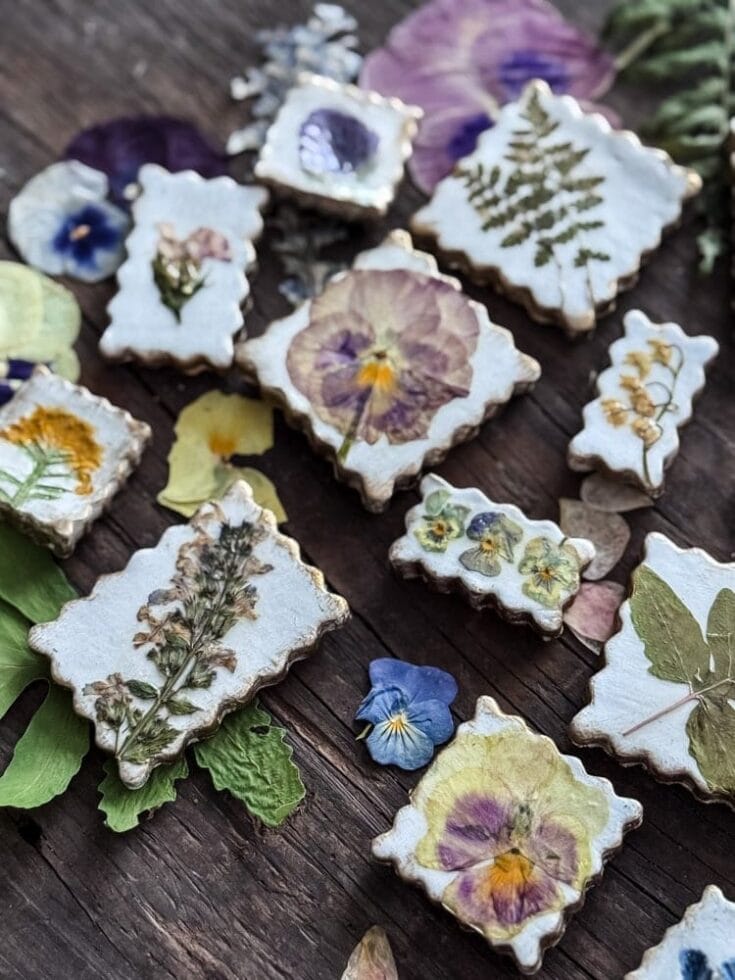 Image for Pressed Flower Magnets from Air Dry Clay