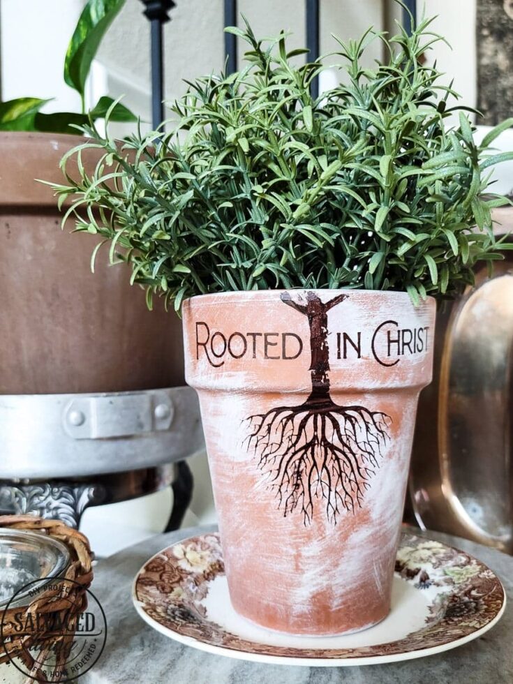 Decorative herb plant in a terracotta pot with roots illustration and the words 'Rooted in Christ' for spiritual growth and nature decor.