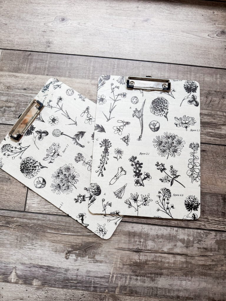 Two clipboards with botanical illustrations of flowers, plants, and insects on a wooden surface, ideal for art and botanical study.