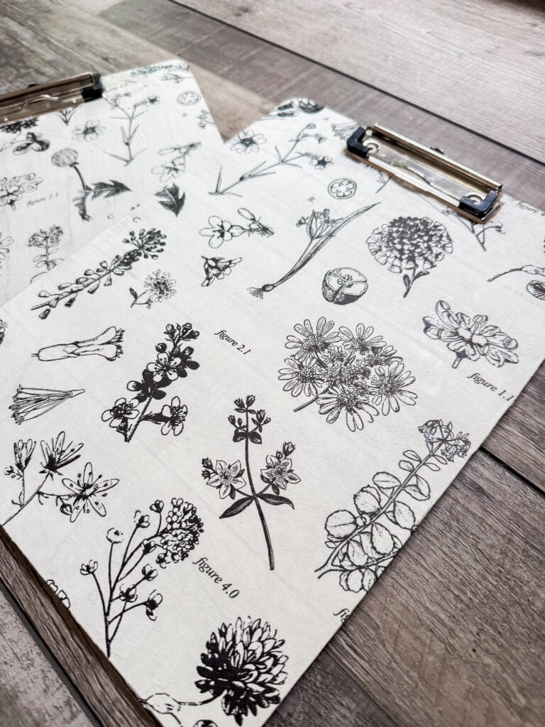 Detailed black and white botanical sketches of various flowers, leaves, and plants on a clipboard, showcasing botanical art and illustration techniques.