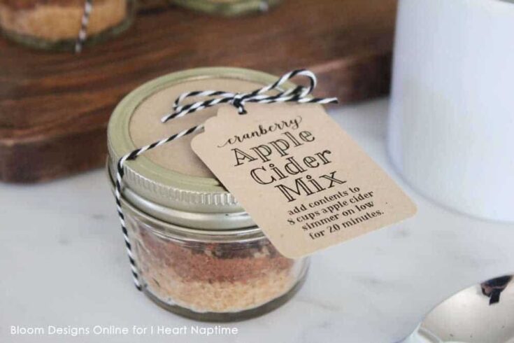 Homemade cranberry apple cider mix in a glass jar with a black and white twine bow, perfect for seasonal gifts or cozy winter drinks.
