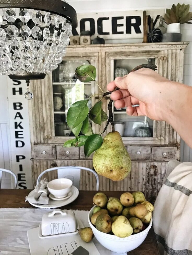 Hand holding a pear and apple branch with hanging pears, surrounded by a bowl of apples and a cozy kitchen background, perfect for autumn home decor.