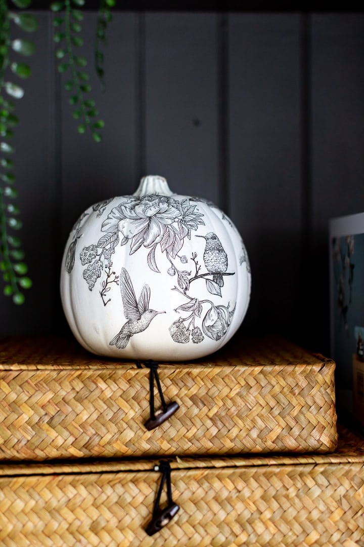 White pumpkin decorated with detailed floral and bird illustrations, placed on a woven basket, with a dark background and green plant leaves in the scene.
