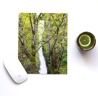 A peaceful forest scene with a small stream flowing through lush green trees, captured in vibrant detail, perfect for nature and outdoor photography enthusiasts.