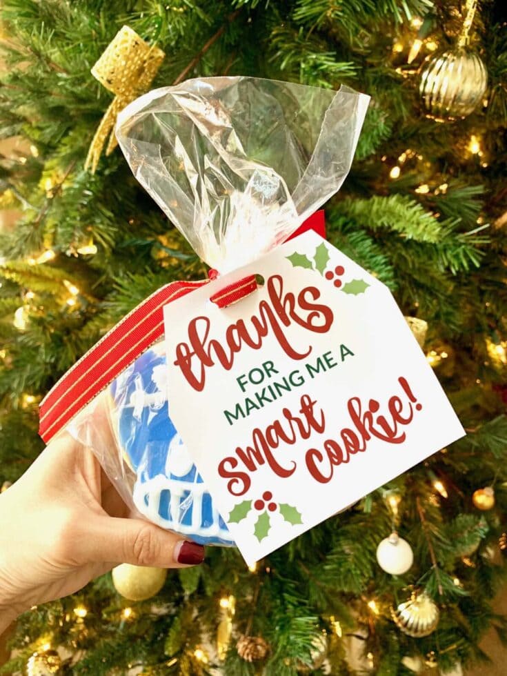 Hand holding a decorated Christmas cookie in a clear bag with a festive tag that says thanks for making me a smart cookie, in front of a decorated Christmas tree.