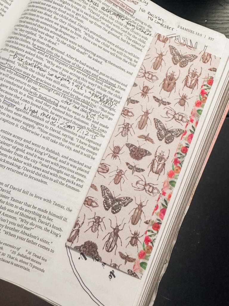 Close-up of a bookmark with detailed illustrations of various insects, placed inside a book for educational purposes, highlighting insect diversity and taxonomy.