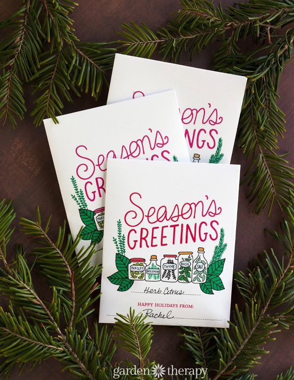 Set of three holiday greeting cards with herb citrus illustrations, surrounded by pine branches, for festive seasonal greetings and holiday cheer.